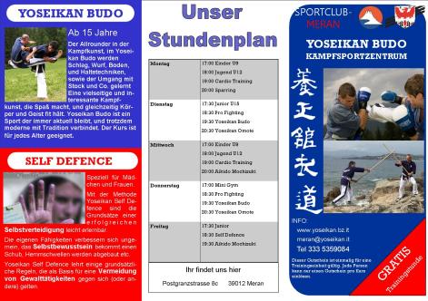 Yoseikan Werbung 2015a