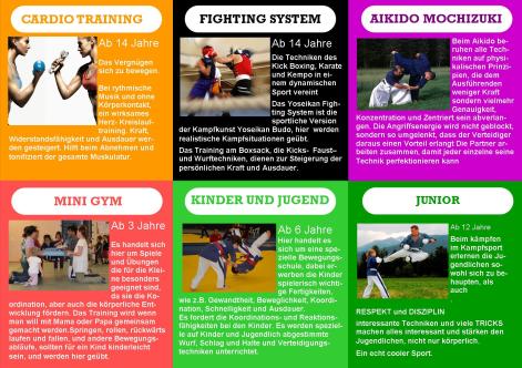 Yoseikan Werbung 2015b